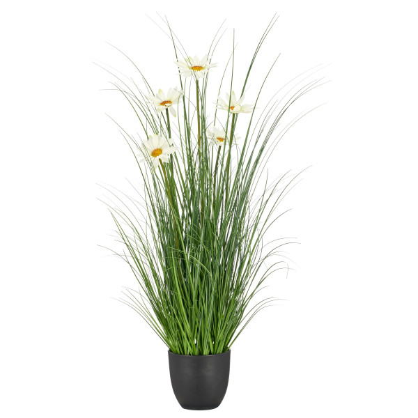 Gras mit Margeriten