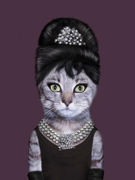 Glasbild AUDREY HEPBURN KATZE