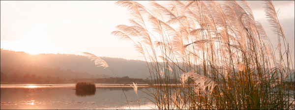 Glasbild SUNSET ON THE LAKE