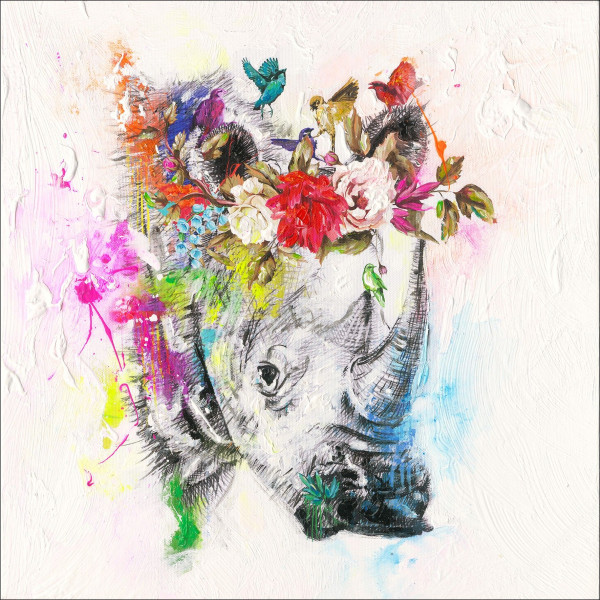 Originalbild COLOURFUL RHINO