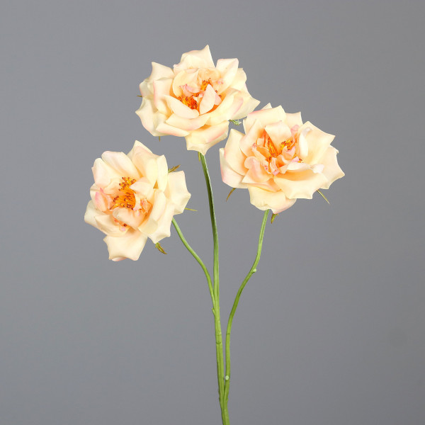 Kunstblume Rosenzweig