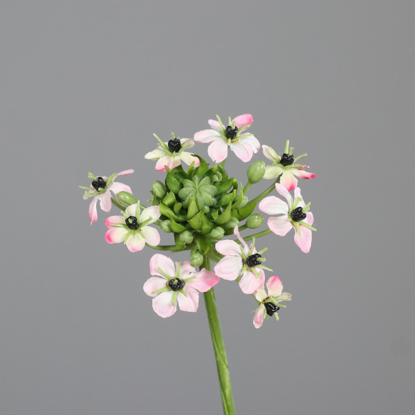 Kunstblume Ornitogalum