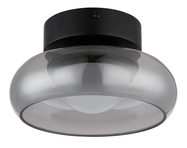 Deckenleuchte CARLENE in schwarz aus Metall