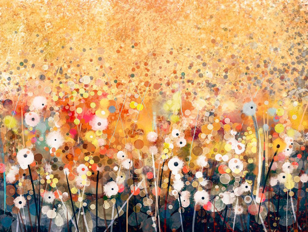 Bild Flowers Abstract meadow