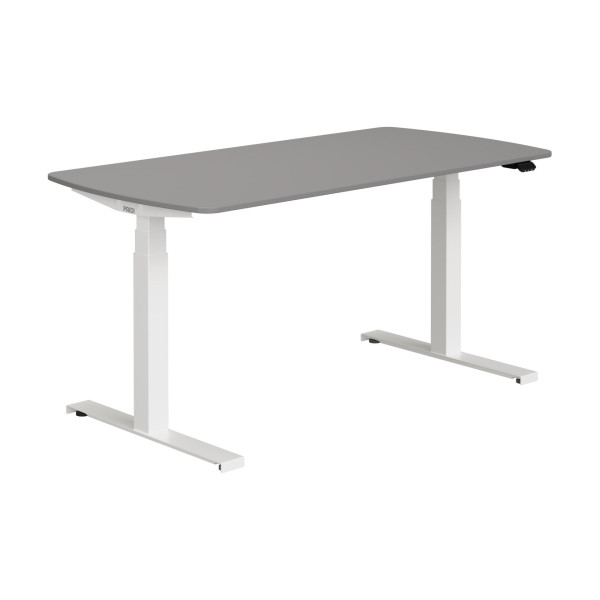 Schreibtisch PAIDI E-LION in grau