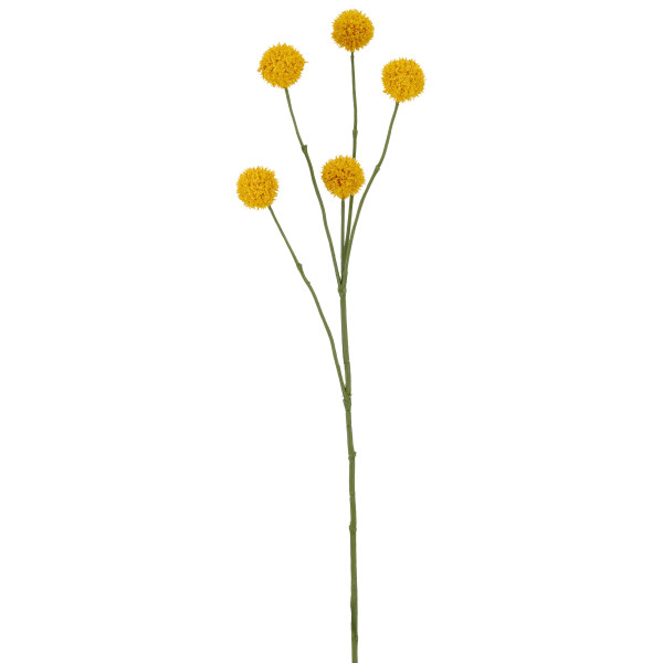 Kunstblume Craspediazweig