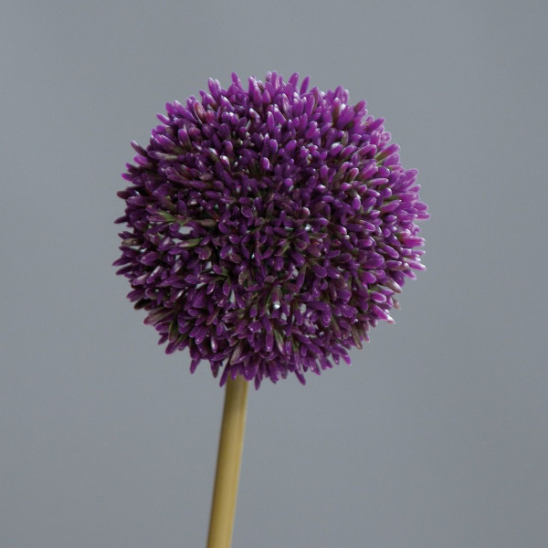 Kunstblume Allium