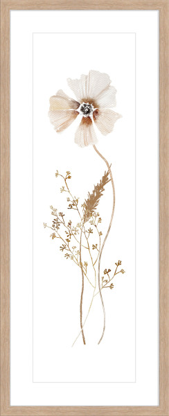 Kunstdruck WILD FLOWERS II